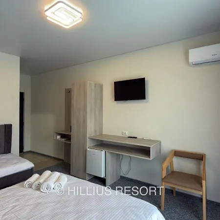 Hotel Hillius *