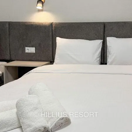 Hillius Hotel *
