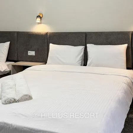 Hotel Hillius *