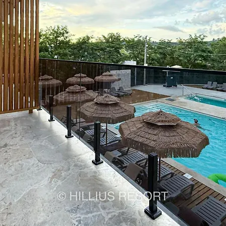 Hillius * Solotvyno